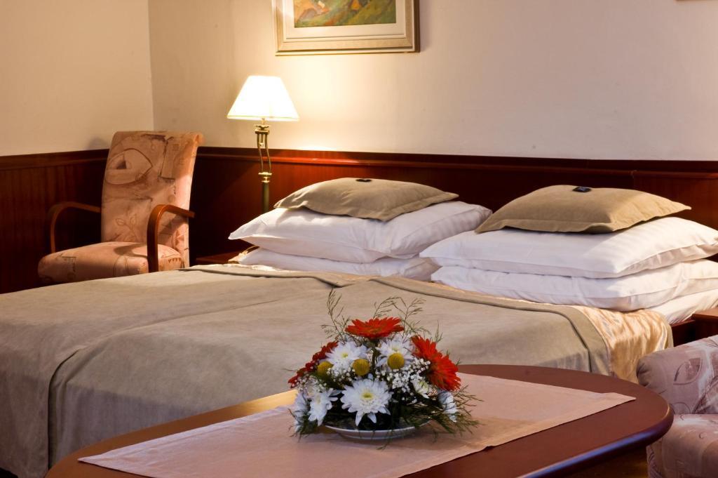 Monti Spa Frantiskovy Lazne Bilik gambar