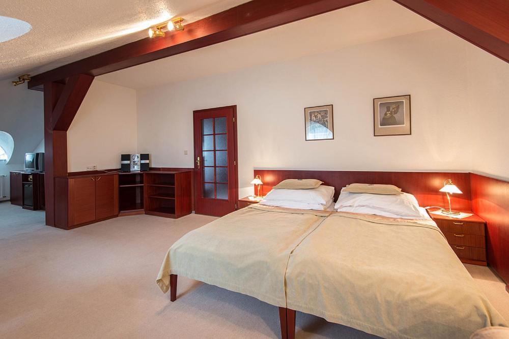 Monti Spa Frantiskovy Lazne Luaran gambar